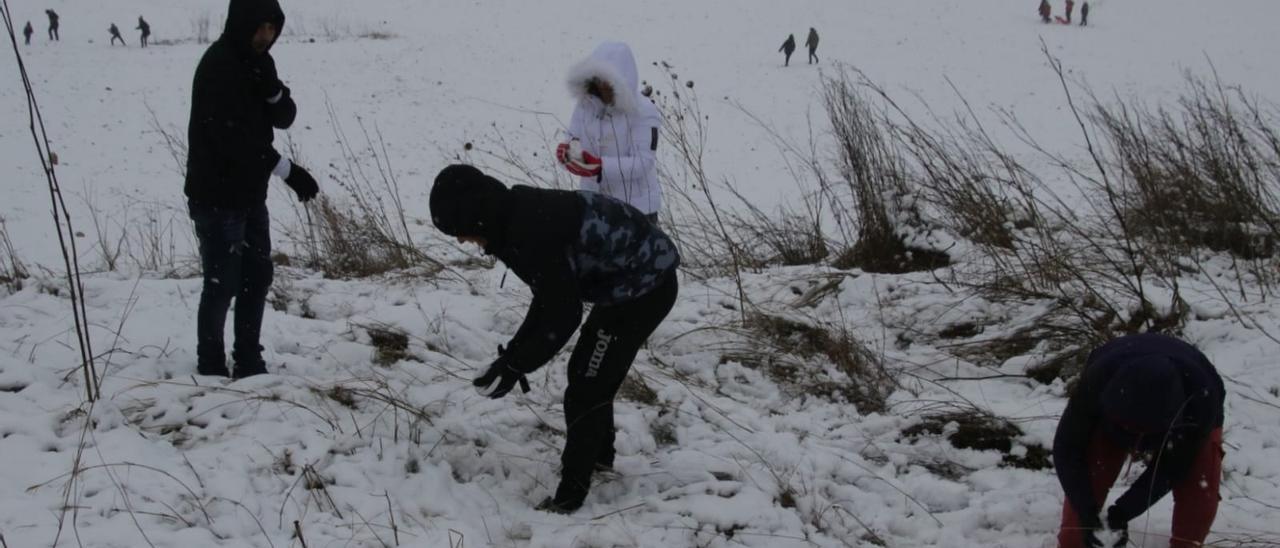 Curiosos que se han acercado para ver la nieve a la zona de la Canal, entre Ibi y Alcoy.