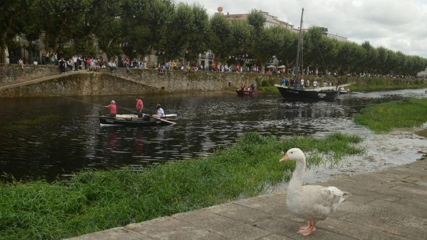 O río Sar ao seu paso polo municipio de Padrón