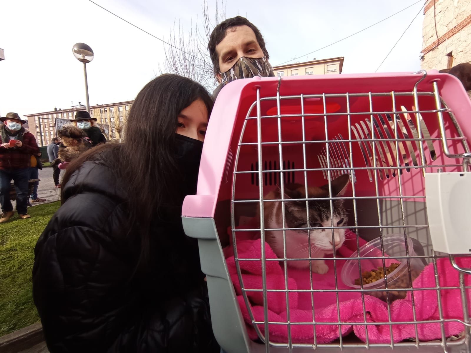 Gallos, cobayas y hasta bichos palo, así fue la bendición de las mascotas por San Antón en Lugones