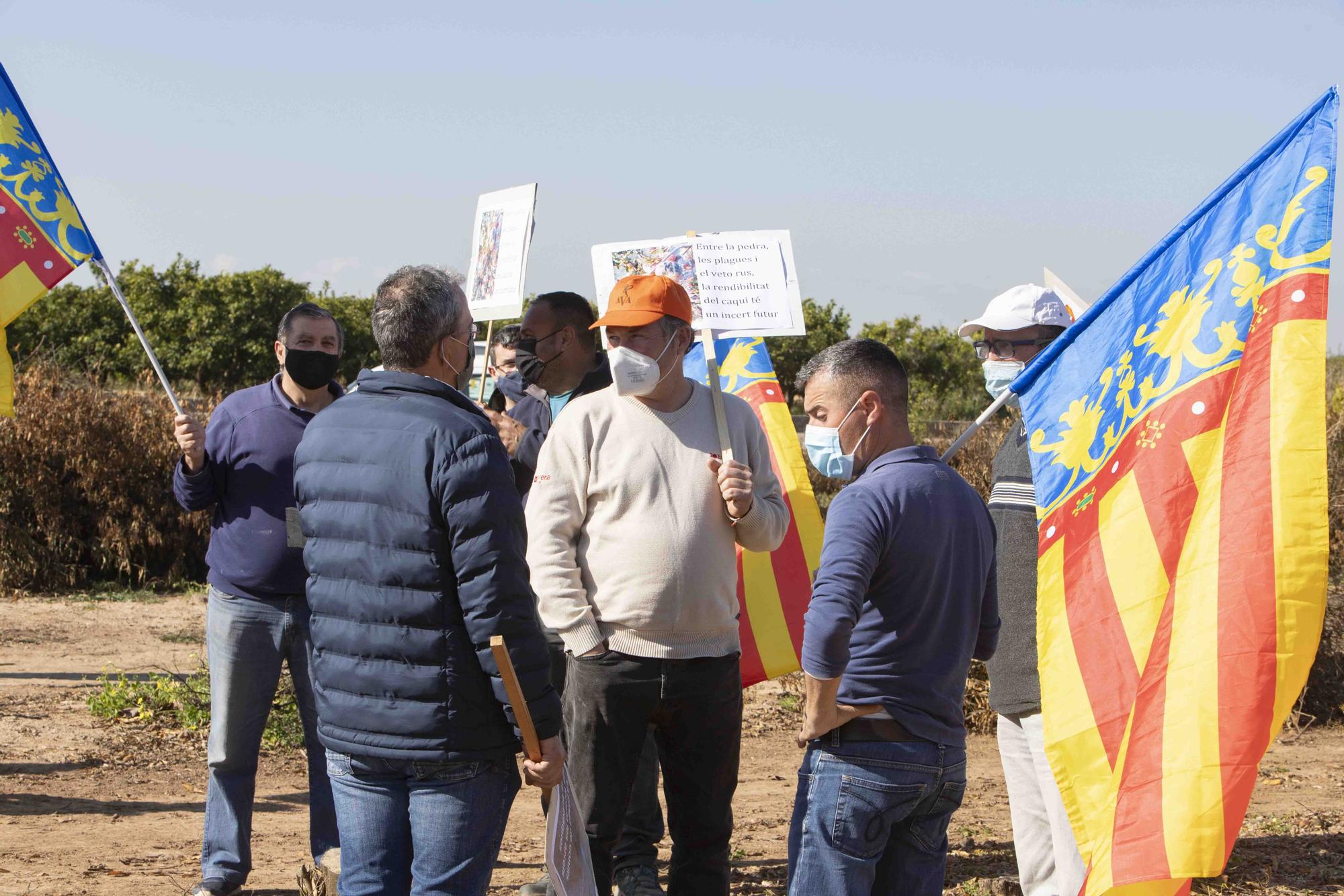 Quema de Naranjos arrancados por la baja rentabilidad en Algemesí.