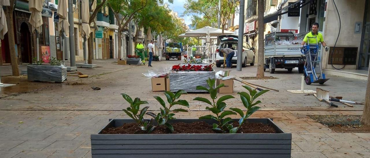 Una de las nuevas jardineras de la calle Fàbrica.