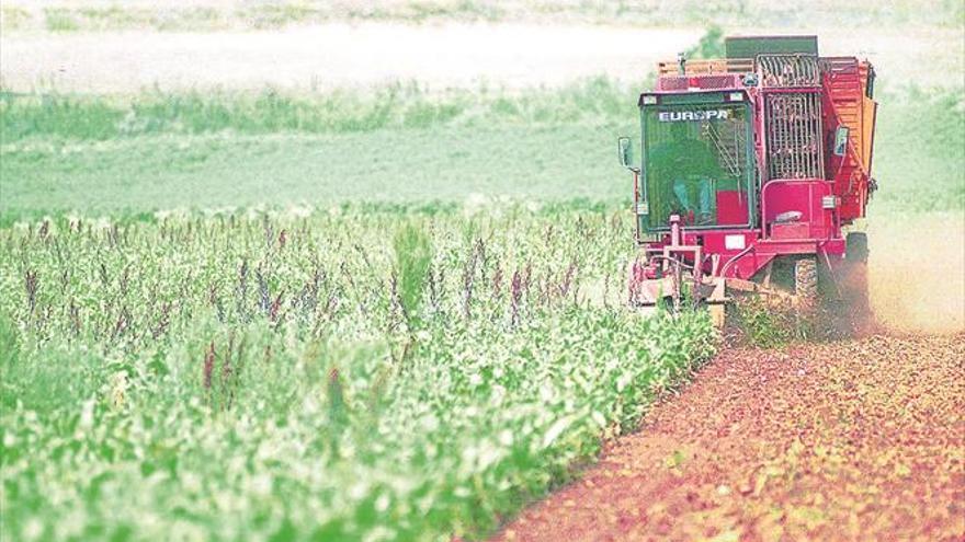 El campo ve un plan de futuro en la azucarera de Mérida