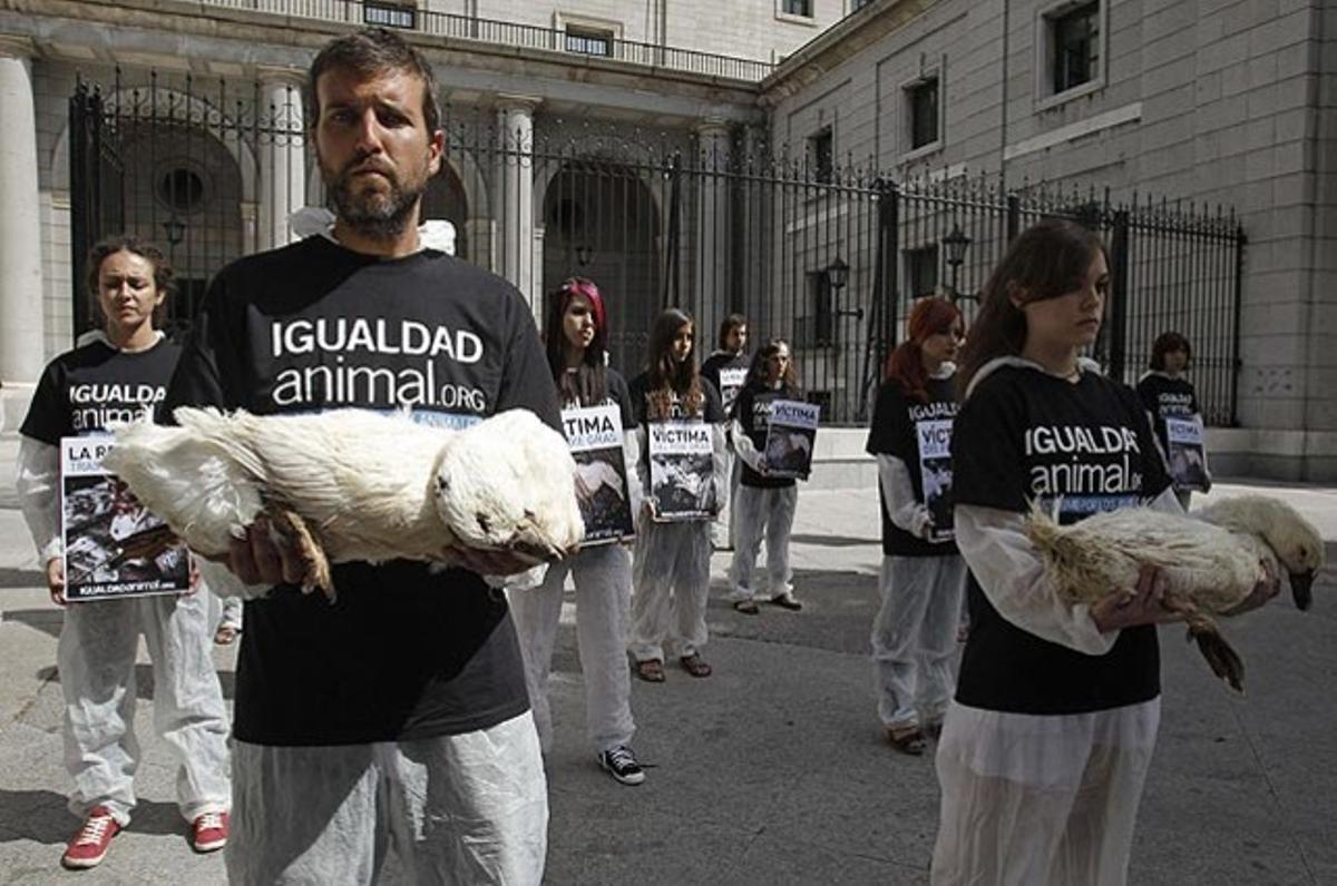 Membres del col·lectiu Igualtat Animal mostren cadàvers d’ànecs durant un acte de protesta davant el Ministeri de Medi Ambient contra la indústria del ’foie gras’.