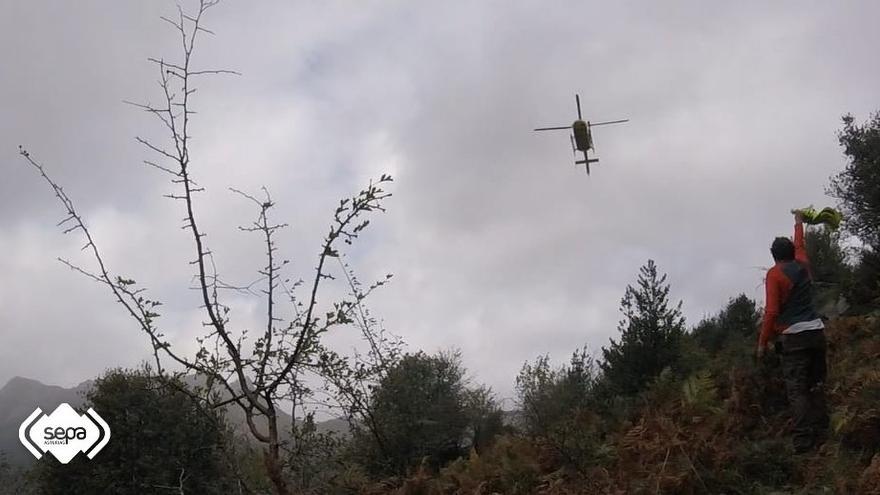 Herido un cazador de 72 años al caer durante una batida en un monte de Ponga