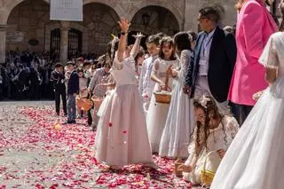 SOS en Zamora: Madre lanza petición de ayuda tras la procesión del Corpus