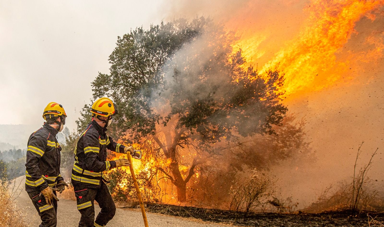 El incendio de la Vall d'Ebo entra de lleno en El Comtat y obliga a desalojar también Fageca, Famorca y Margarida