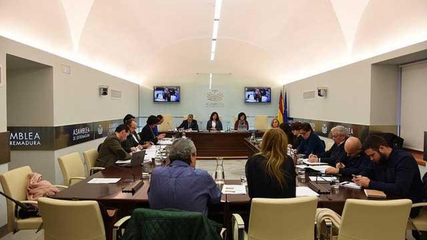 Extremadura costeará las ortoprótesis a las familias con necesidades económicas