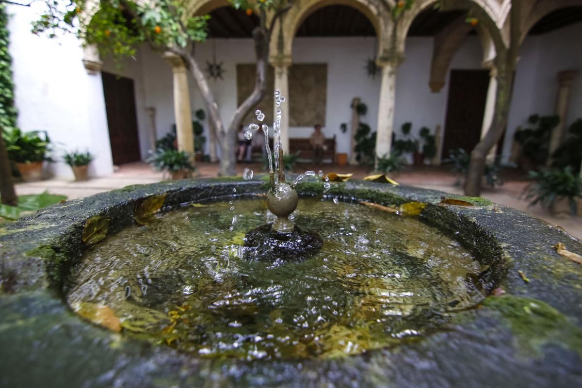 Los patios de Viana se abren a los visitantes del Mayo cordobés