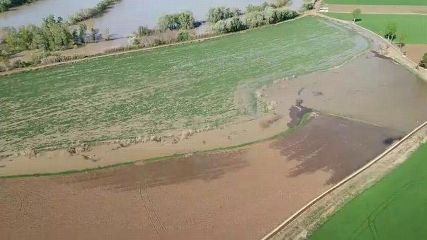 Asafre asegura que la riada no está zanjada y que Quinto y Pina corren peligro