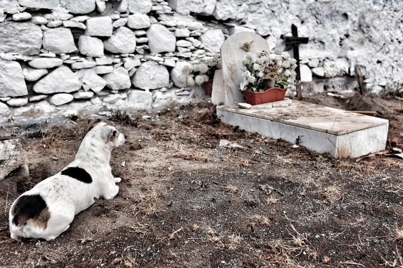 Reposición de cruces en el cementerio de San Andrés, en Santa Cruz de Tenerife.