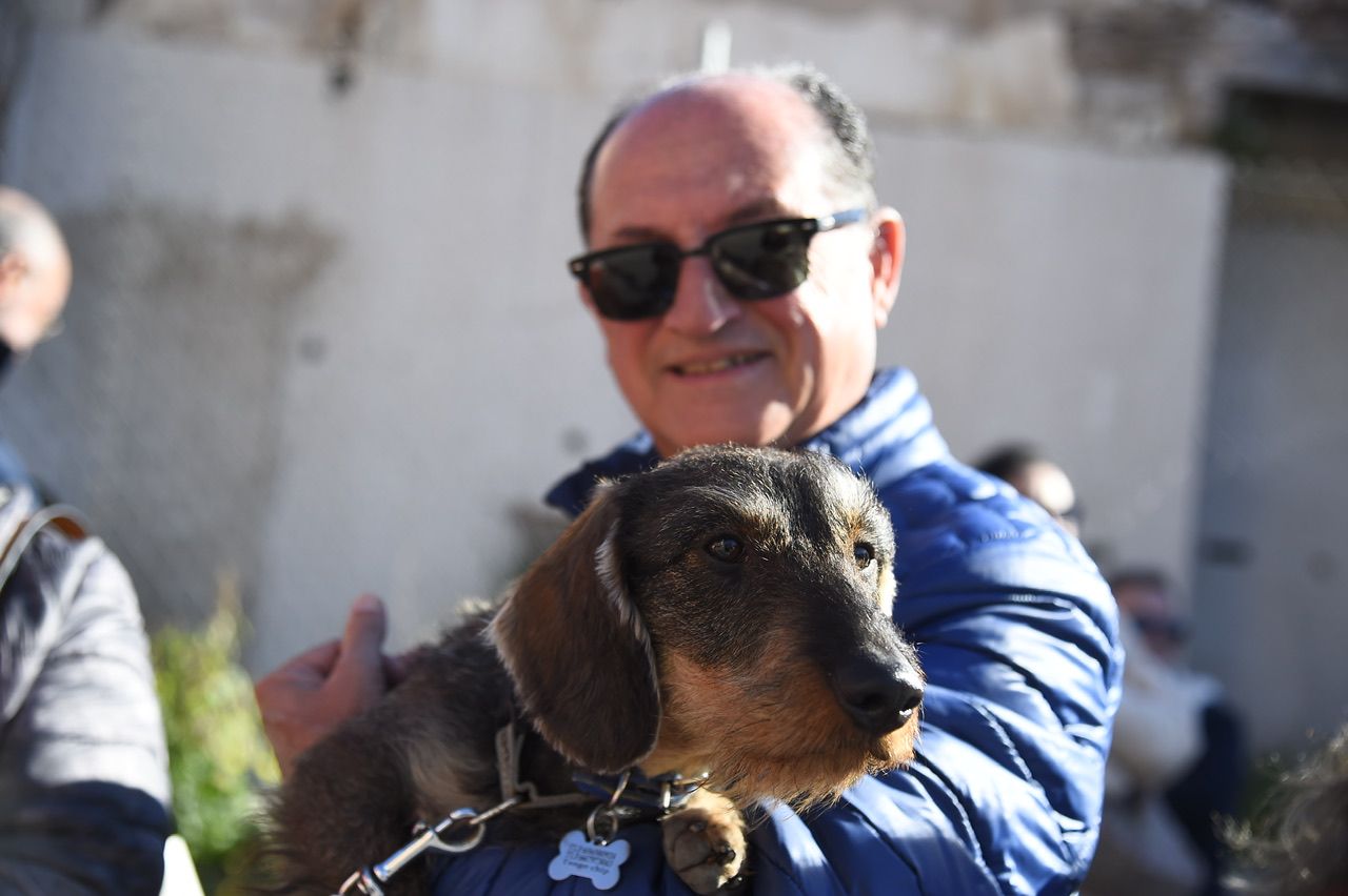 Bendición de animales por San Antón en Cartagena