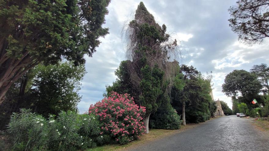 Via Appia Antica, la reina de las calzadas