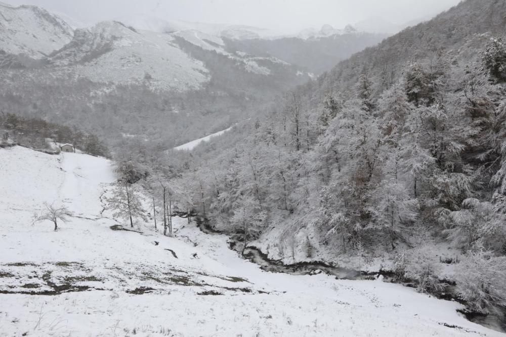 Las imágenes del temporal en Asturias