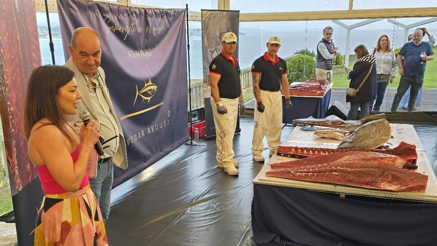 El atún rojo de las almadrabas, listo para su ronqueo en Vilagarcía