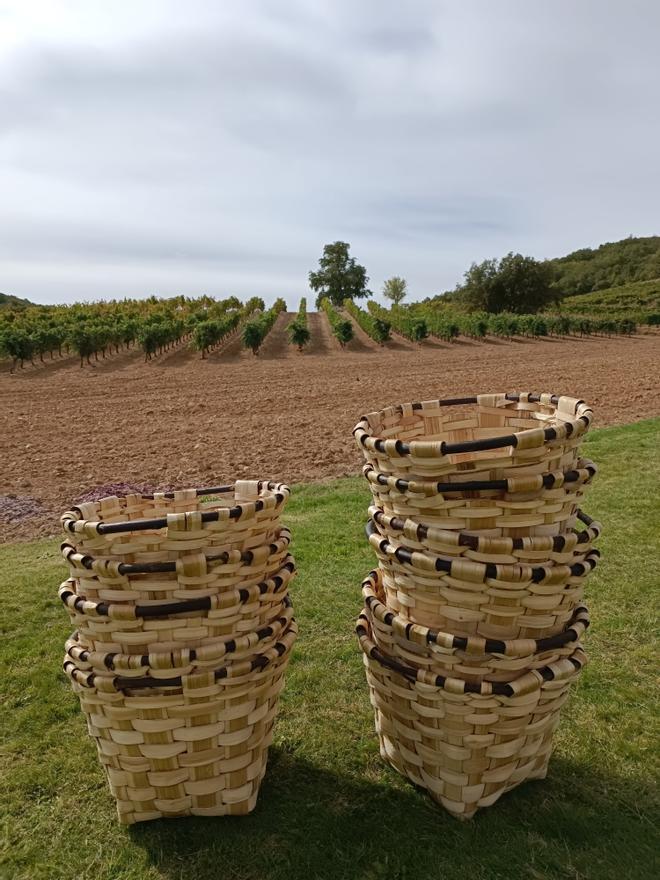 Cestas preparadas para la vendimia en Cepa 21, Ribera del Duero, Valladolid