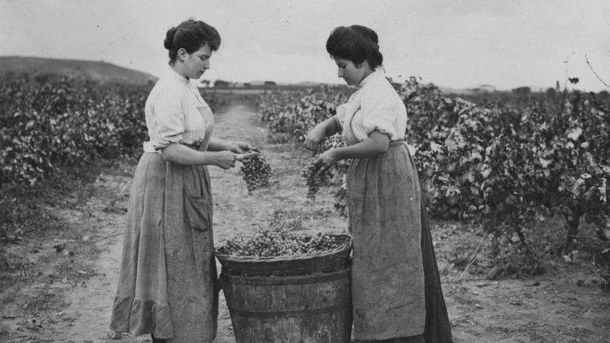 Cinco grandes mujeres del vino que deberías conocer