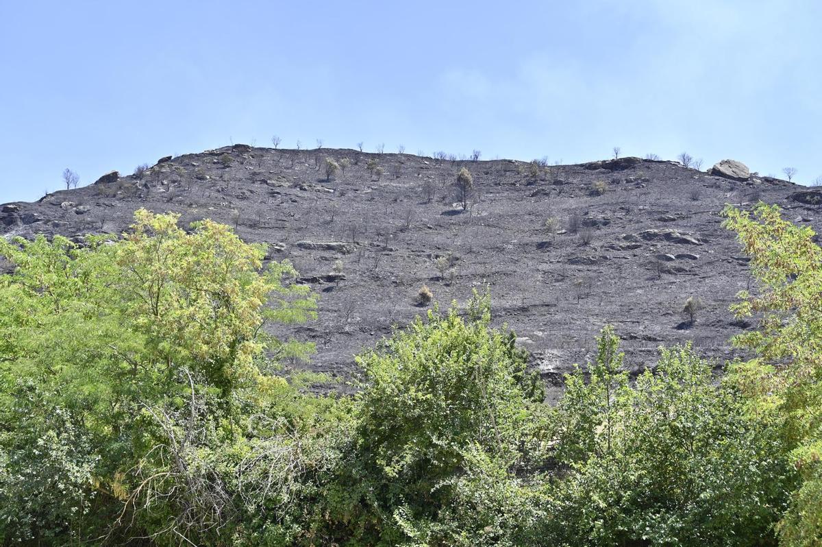 En imágenes | El incendio de las Cinco Villas asciende ya a 12.600 hectáreas y seis pueblos continúan evacuados