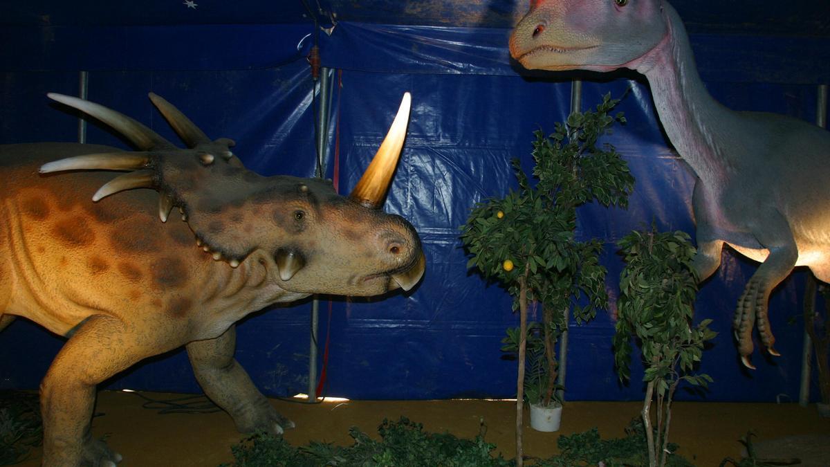 &#039;Dino expo&#039; llega este fin de semana a Lorca