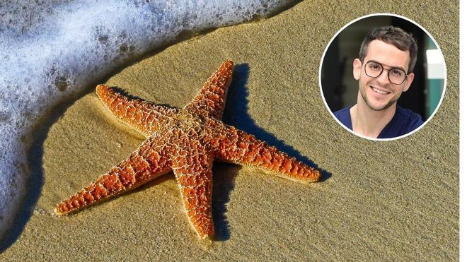 El doctor Felices sobre cómo encender el aire acondicionado de tu cuerpo: “Hacer la estrella de mar y ponerte crema hidratante hace que estés más fresco”