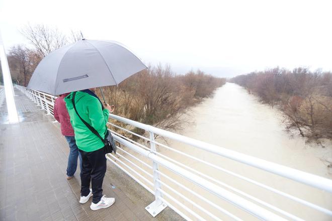 Así luce el río Ebro este viernes 13 de febrero