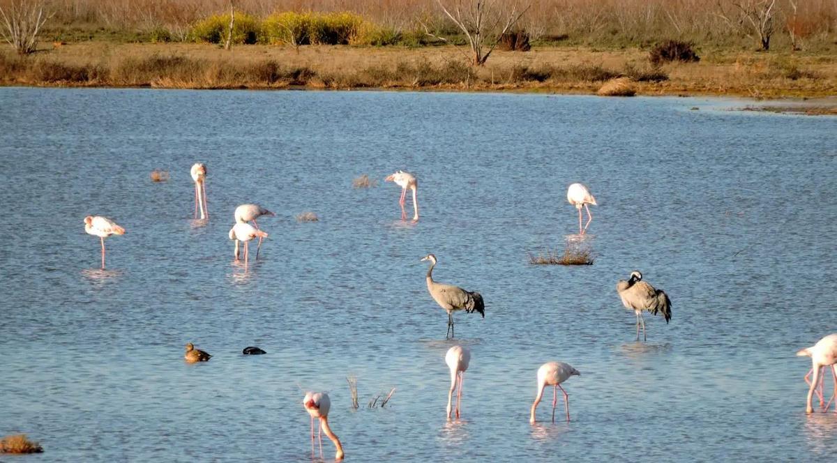 La laguna más grande de toda Andalucía está en Málaga