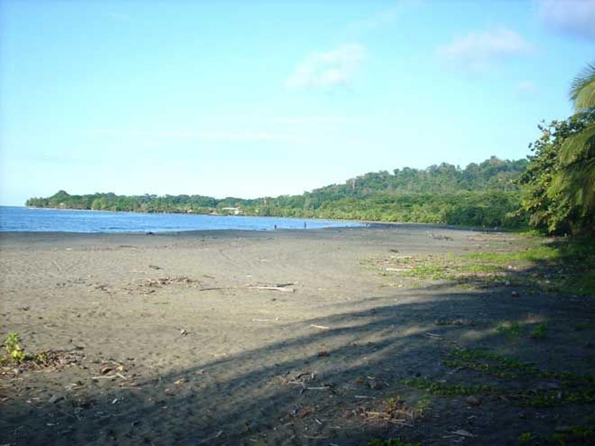 PLAYA NEGRA (CAHUITA)