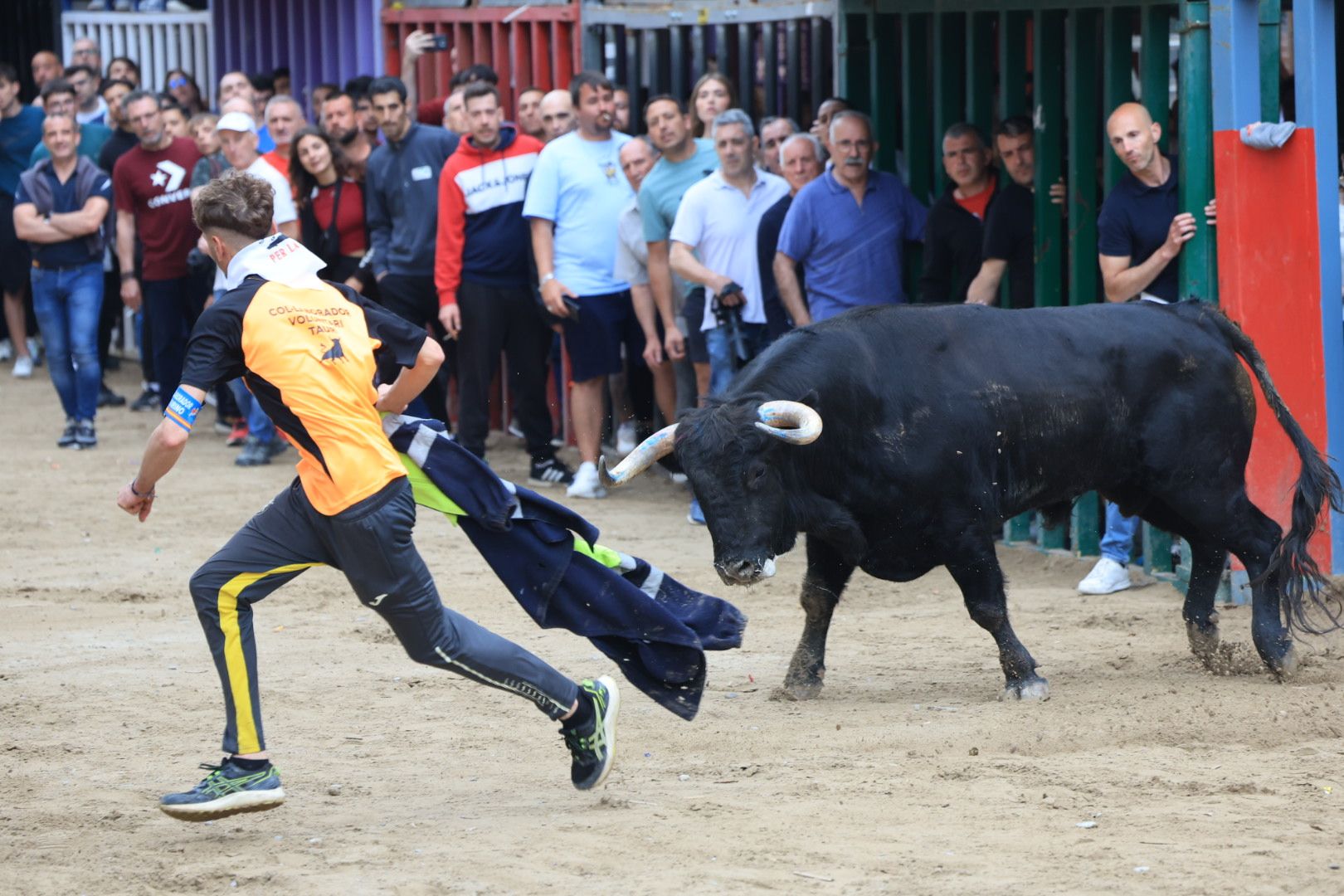 FOTOGALERÍA I Las imágenes de la segunda jornada taurina de las fiestas de Vila-real