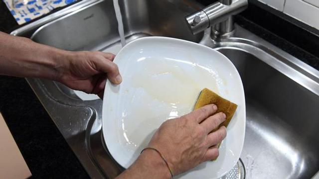 Un 'zoo' de bacterias en casa