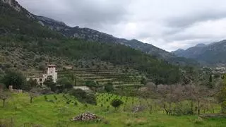 La Ley de la Serra de Tramuntana: menos burocracia y más protección