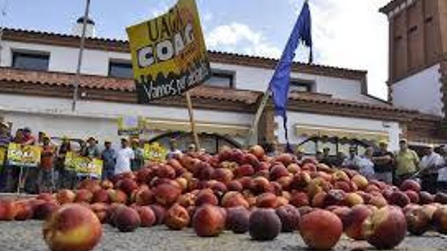 UAGA repartirá fruta el sábado para denunciar precios y promover su consumo