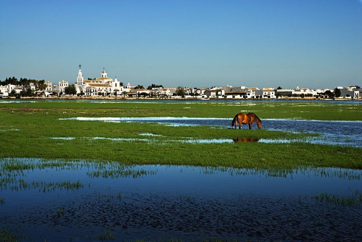 Área de Doñana