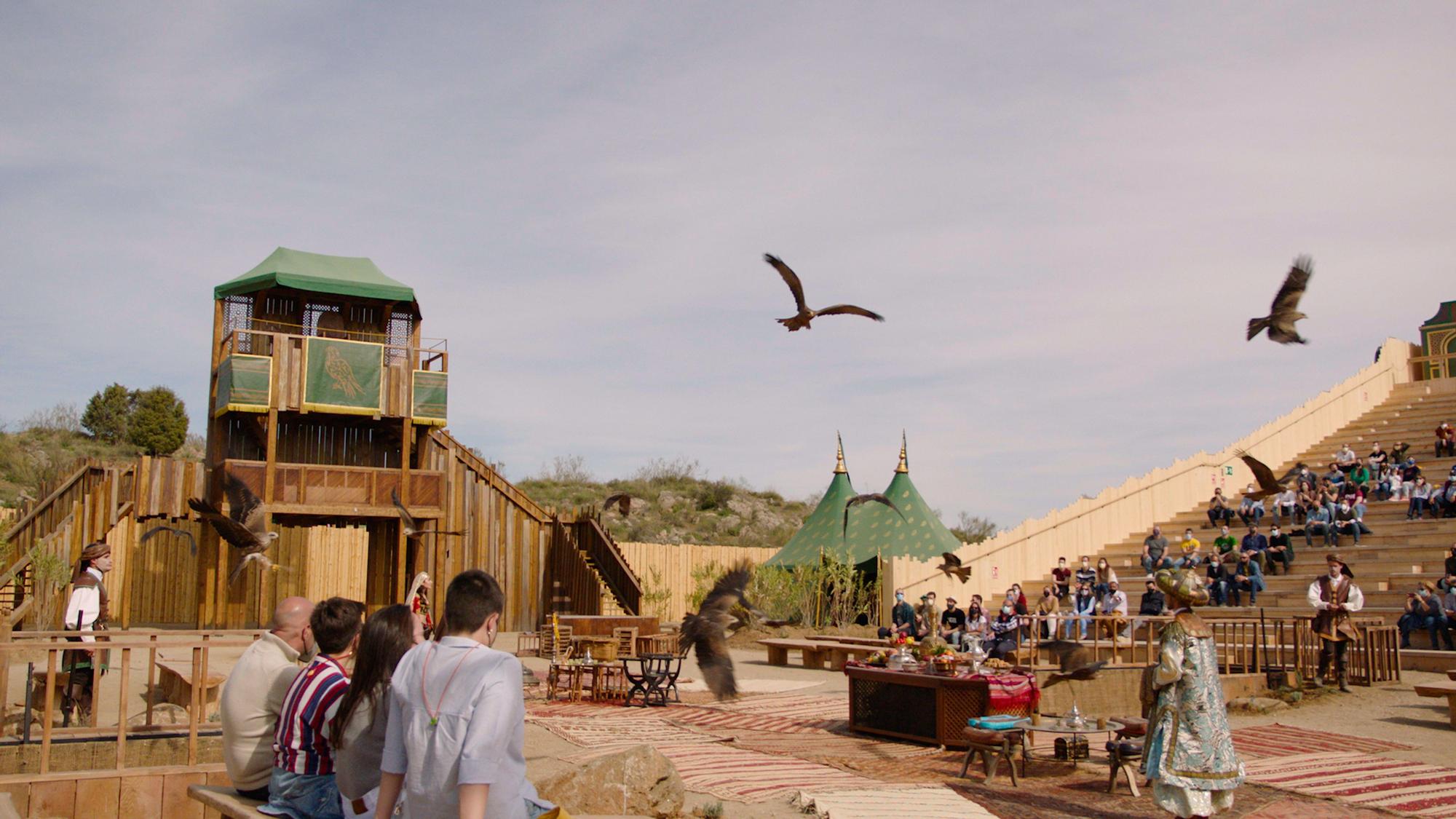 En el parque de Puy du Fou se pueden ver más de 200 aves de unas 25 especies diferentes