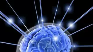 Investigadores de la UB descifran el mecanismo neuronal que permite alternar la creación y recuperación de recuerdos