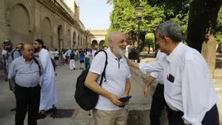 El Icomos visitará este martes la Mezquita-Catedral para conocer el impacto del incendio