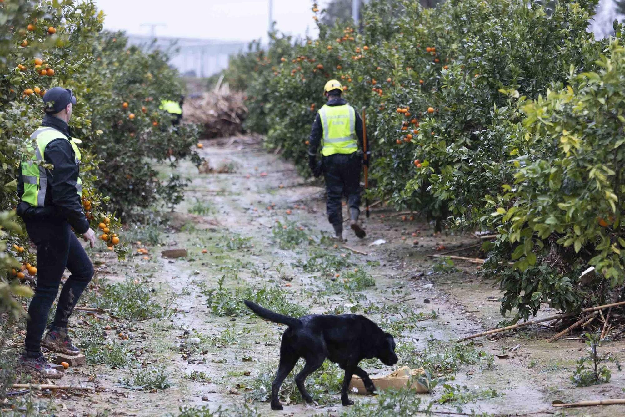 La UME continua la busqueda de desaparecidos