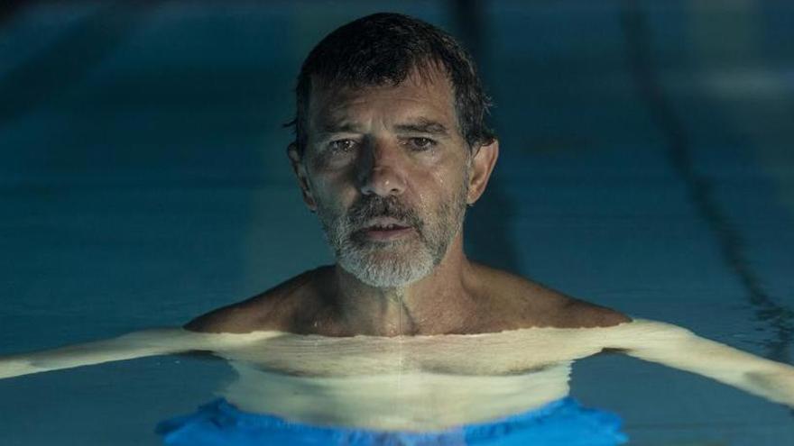 Antonio banderas protagonitza l&#039;últim film d&#039;Almodóvar