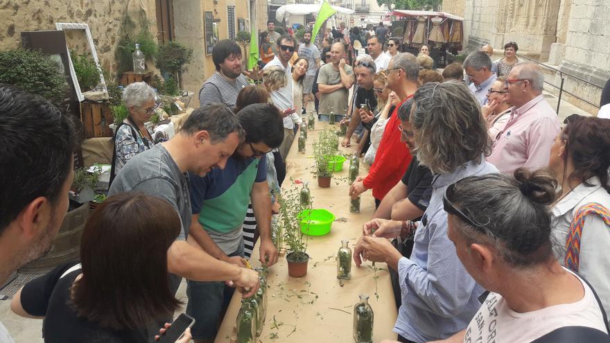 Pel maig, totes les herbes són remeieres