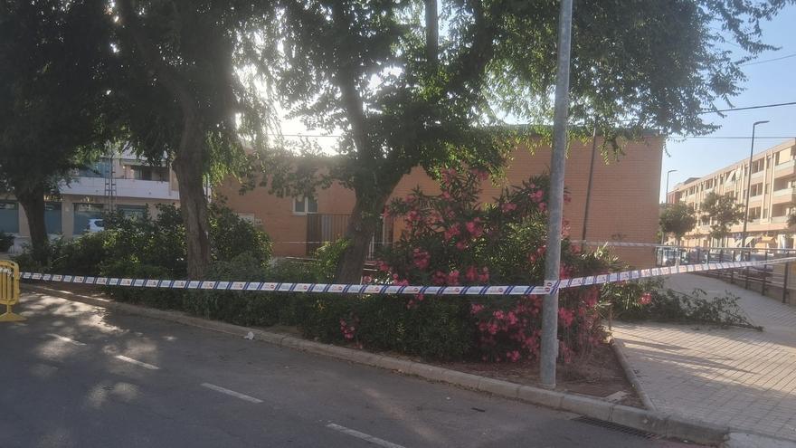 La caída de ramas junto al centro de salud de l&#039;Alcúdia de Crespins causa daños en un vehículo