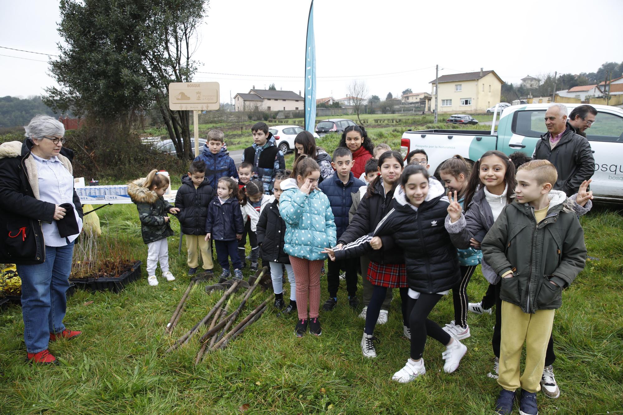 En imágenes: La alcaldesa de Gijón, en la plantación de árboles autóctonos en Somonte