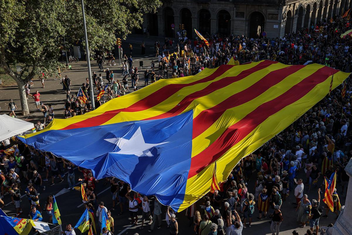 Estelada de grans dimensions a la manifestació de l'ANC per la Diada a Barcelona.