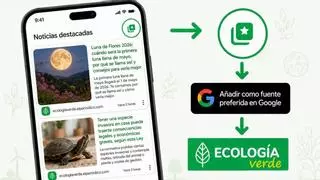 Google permite añadir Ecología Verde como fuente preferida en tus búsquedas
