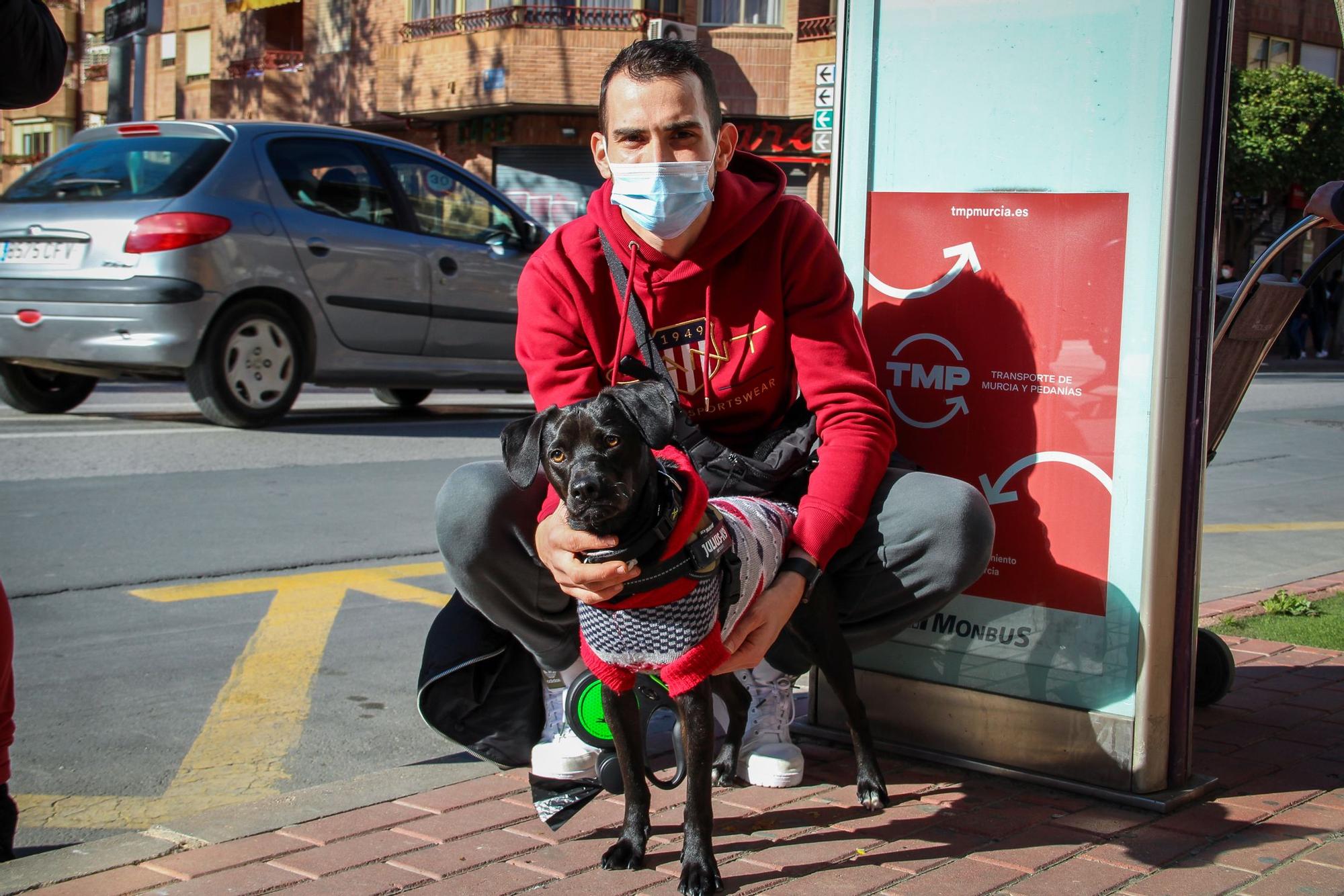 Las mascotas reciben su bendición por San Antón en Murcia (I)