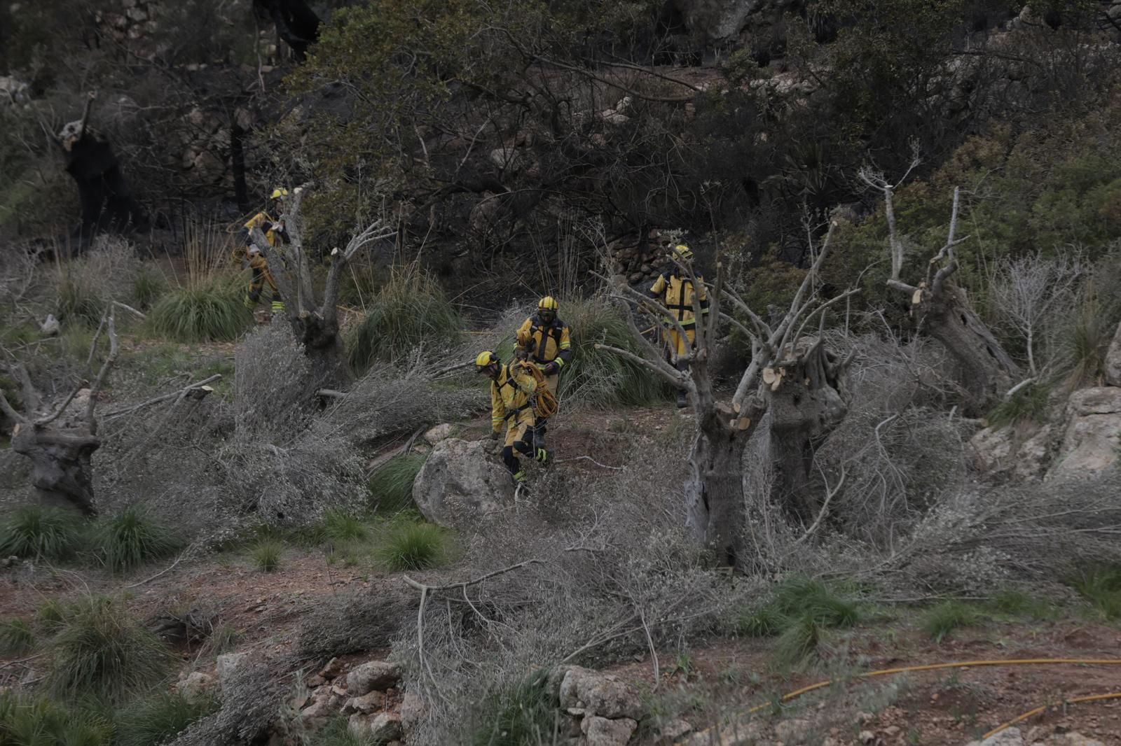 FOTOS | Dan por controlado el incendio de Andratx