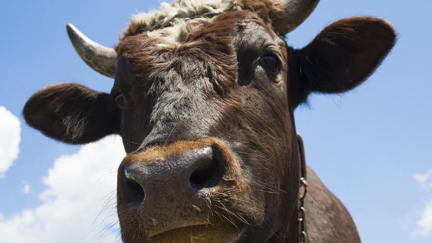 La tauromaquia en la cultura