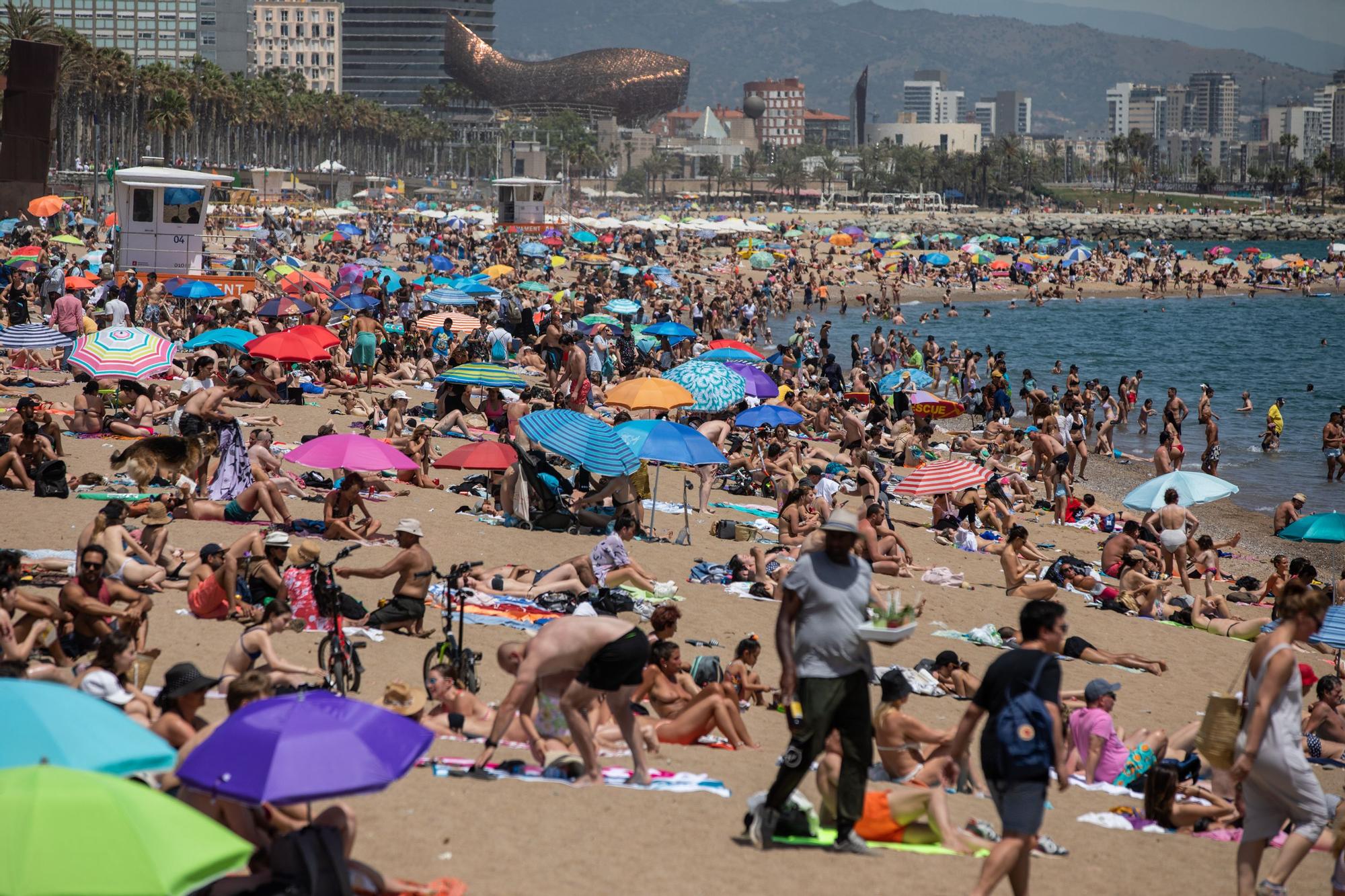 La playa de la Barceloneta, a rebosar de gente, este domingo.