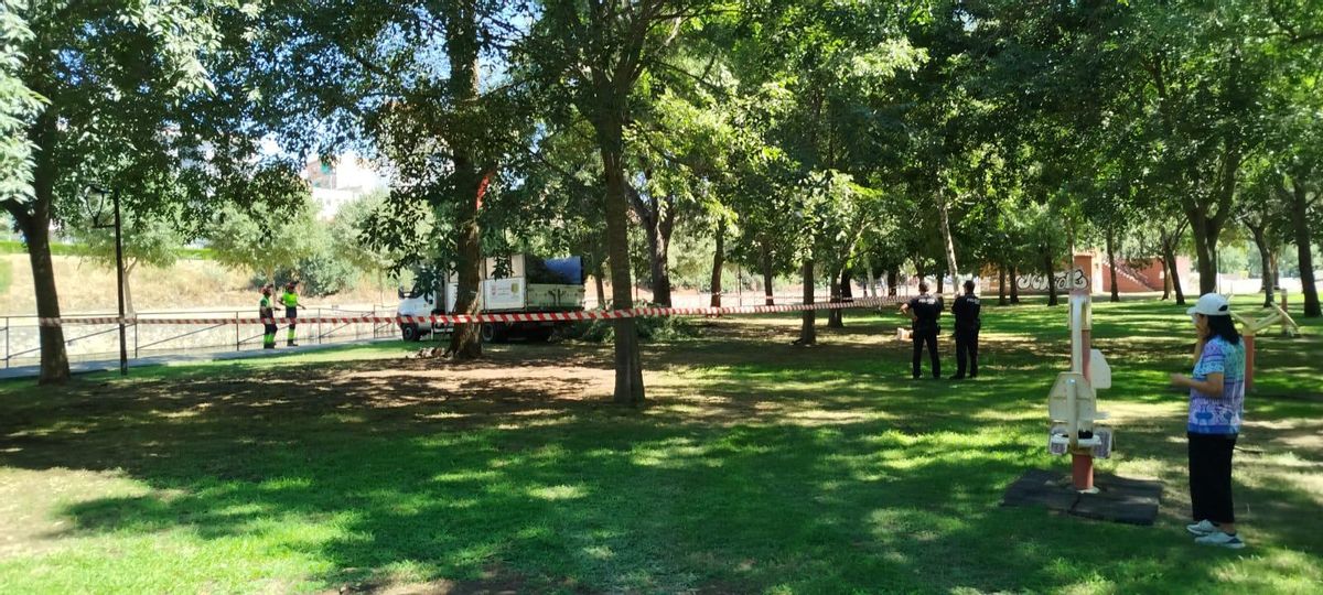 La UTE de limpieza, en el parque de La Isla donde han caído ramas, junto a la Policía Local.