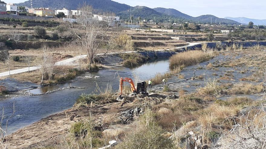 Tareas de plantación de los nuevos árboles en el Túria en Riba-roja.