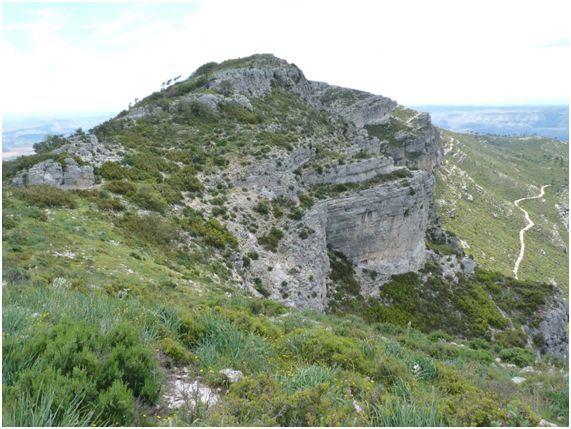 Muela de arriba en Requena