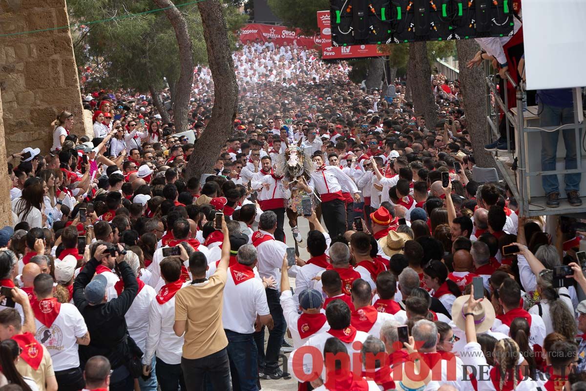 Así ha sido la carrera de los Caballos del Vino en Caravaca