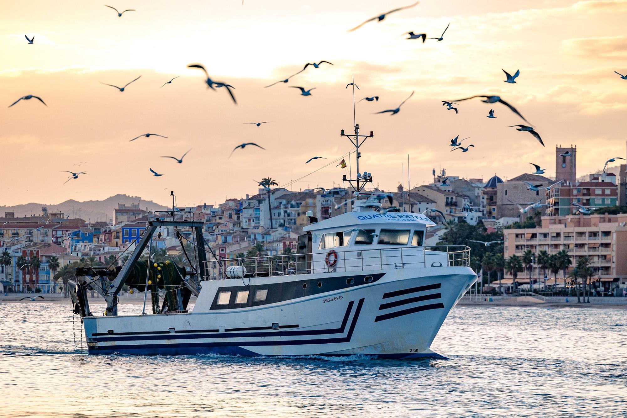 Pesca y Turismo en Villajoyosa